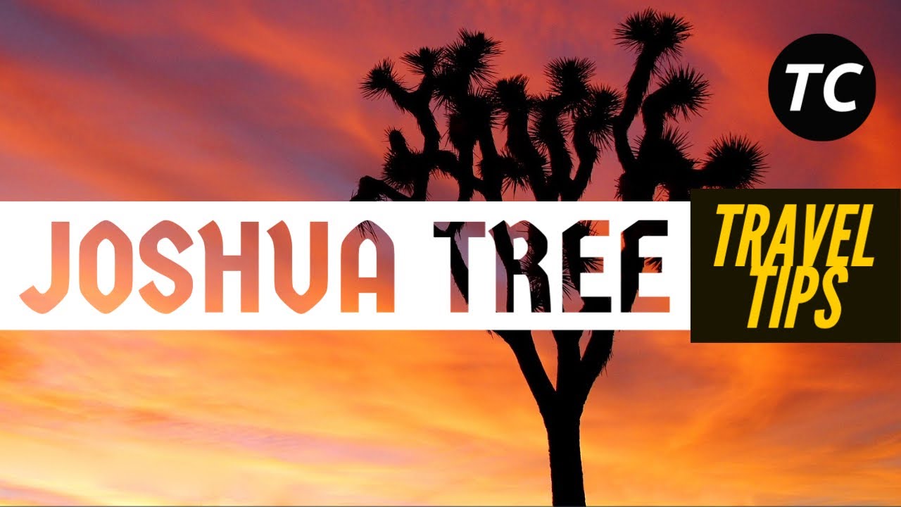 A Travel Guide To Joshua Tree