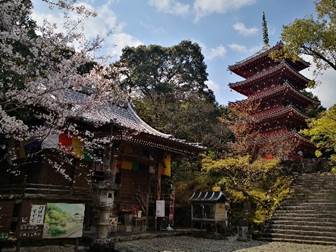 Walk Japan launches Shikoku: Kochi & Ehime Discovery Tour